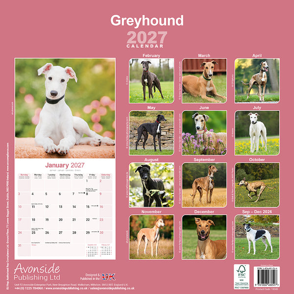 Greyhound Kalender 2027