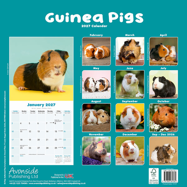Guinea Pigs Kalender 2027