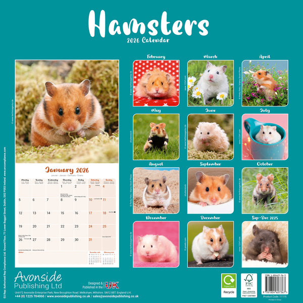 Hamsters Kalender 2026