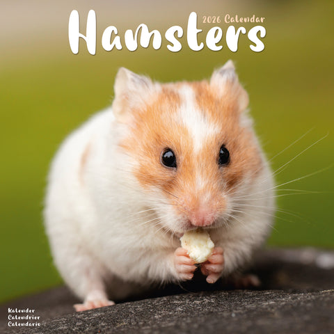 Hamsters Kalender 2026