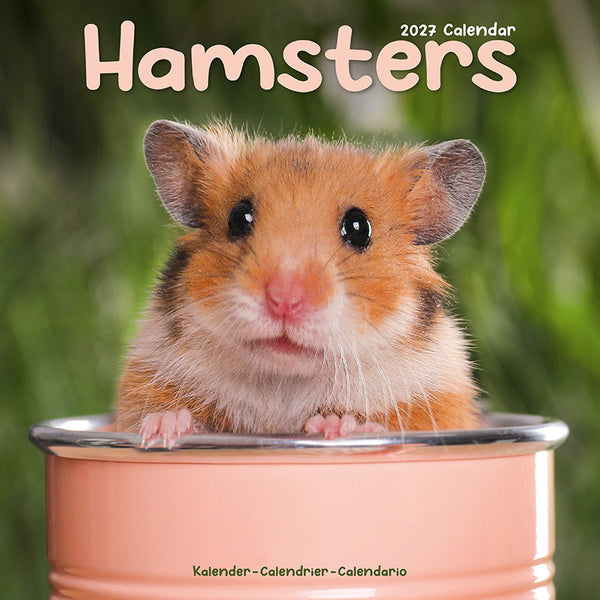 Hamsters Kalender 2027