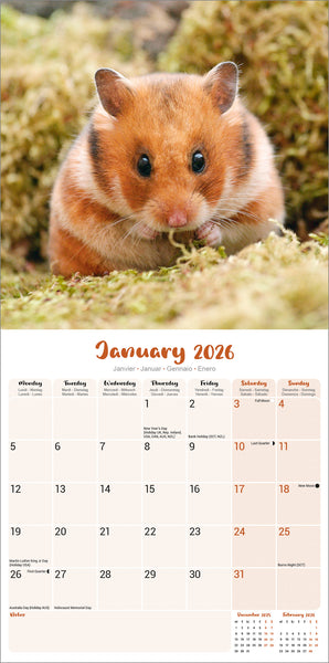 Hamsters Kalender 2026
