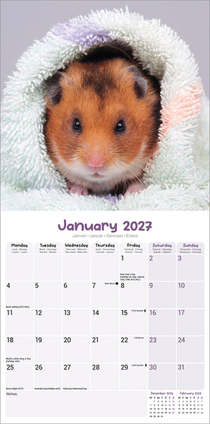 Hamsters Kalender 2027