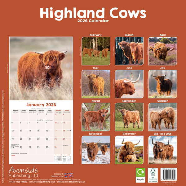 Highland Cows Kalender 2026