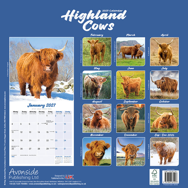 Highland Cows Kalender 2027