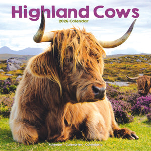 Highland Cows Kalender 2026