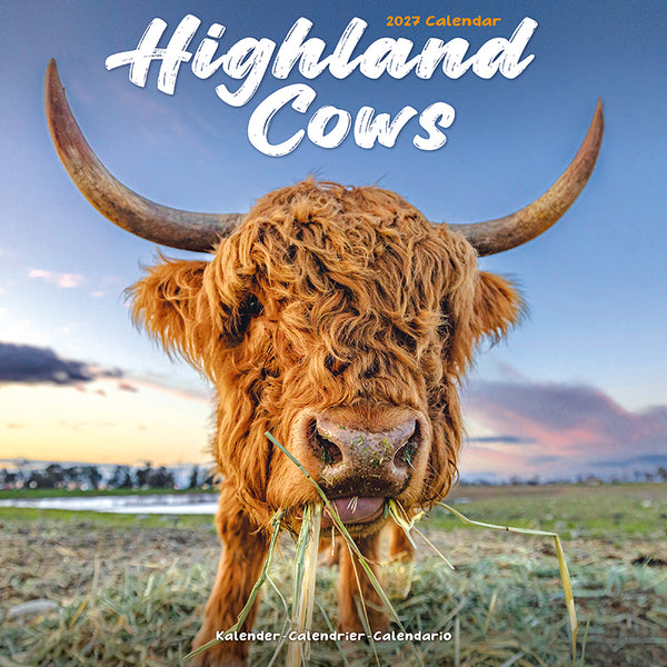 Highland Cows Kalender 2027