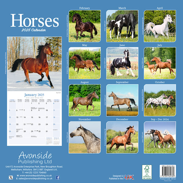 Horses Kalender 2025 De Kalenderman