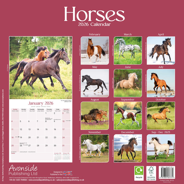 Horses Kalender 2026