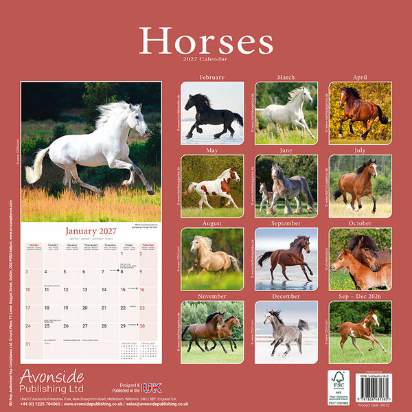 Horses Kalender 2027