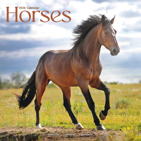 Horses Kalender 2026