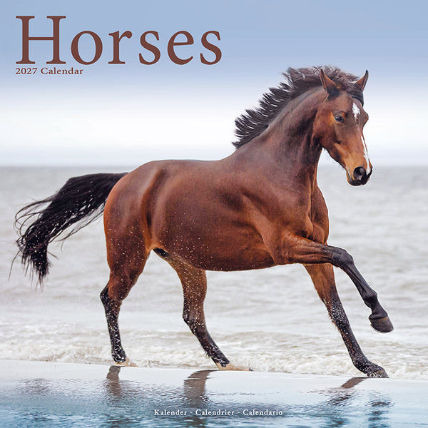 Horses Kalender 2027