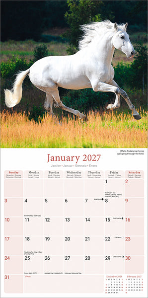 Horses Kalender 2027