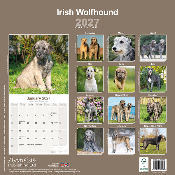 Irish Wolfhound Kalender 2027