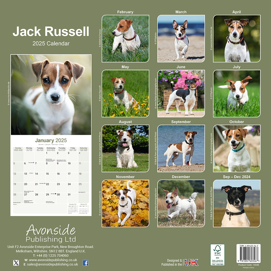Jack Russel Kalender 2025 De Kalenderman