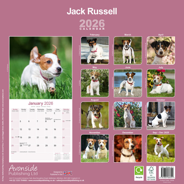 Jack Russel Kalender 2026