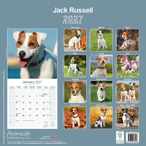 Jack Russel Kalender 2027