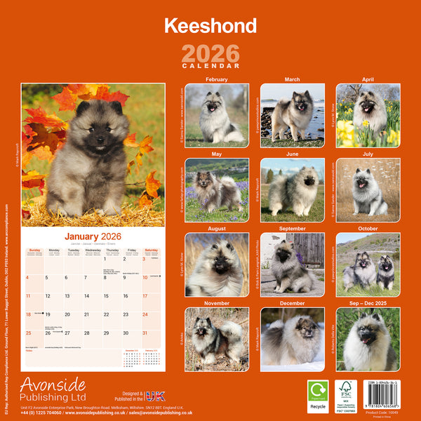 Keeshond Kalender 2026