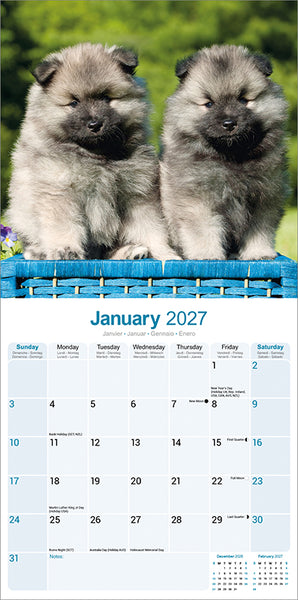 Keeshond Kalender 2027