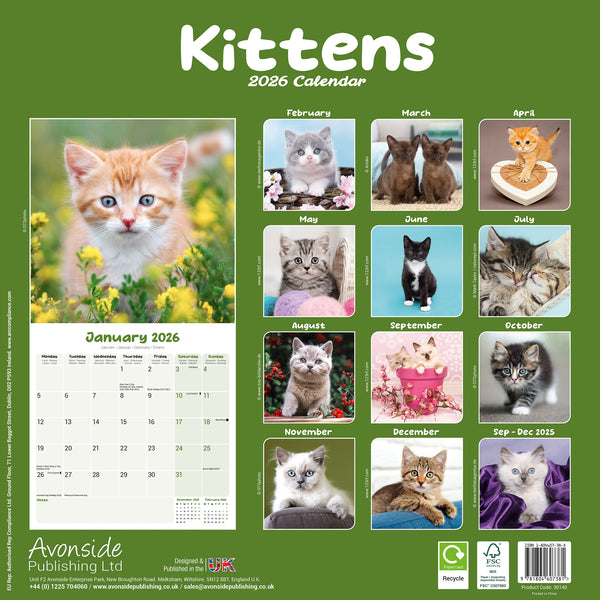 Kittens Kalender 2026