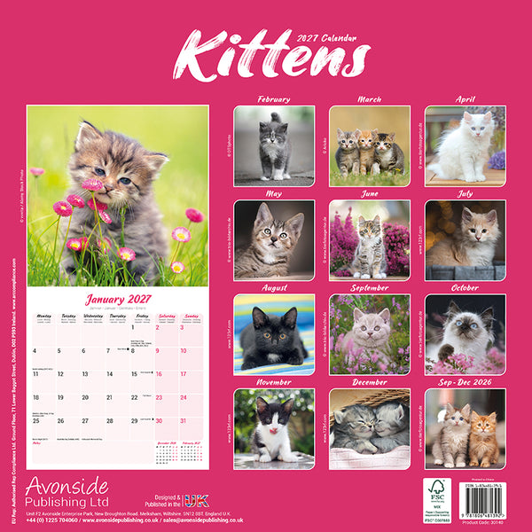 Kittens Kalender 2027