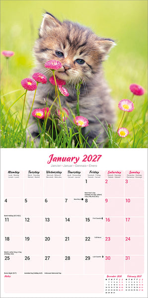 Kittens Kalender 2027