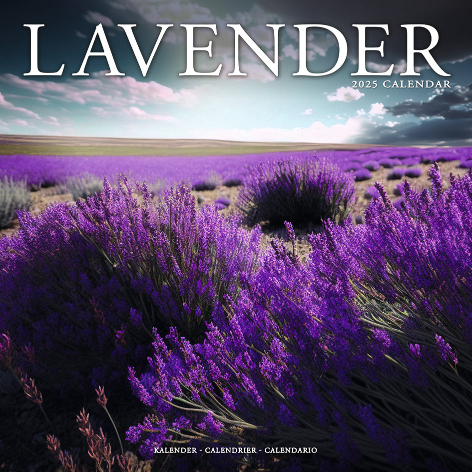 Lavender Kalender 2025 De Kalenderman