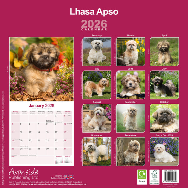 Lhasa Apso Kalender 2026