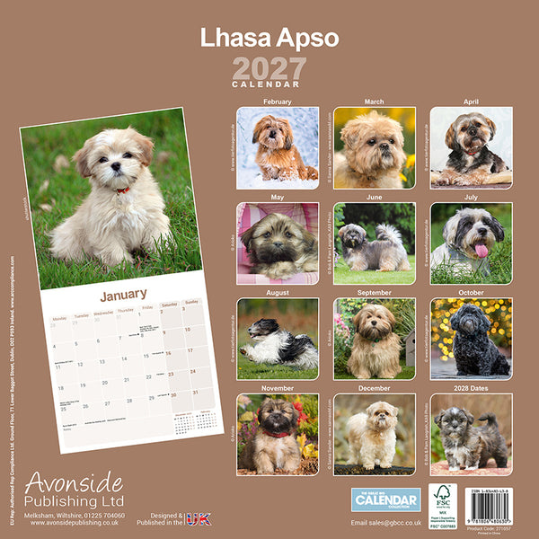 Lhasa Apso Kalender 2027