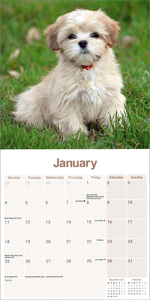 Lhasa Apso Kalender 2027