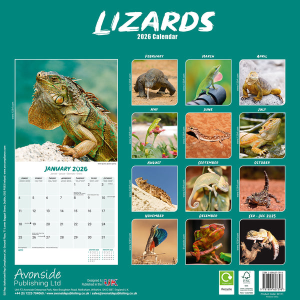Lizards Kalender 2026