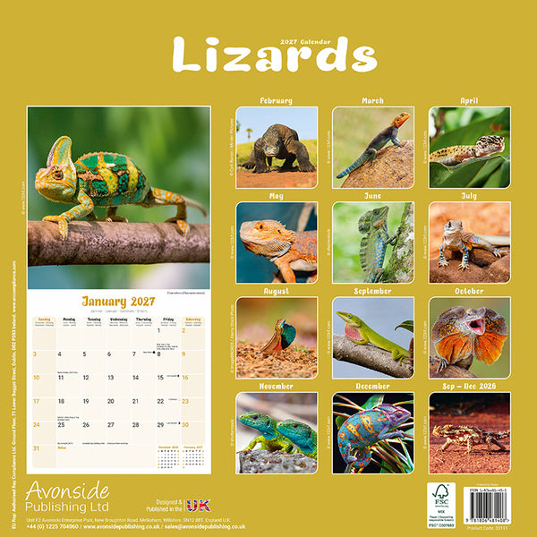 Lizards Kalender 2027