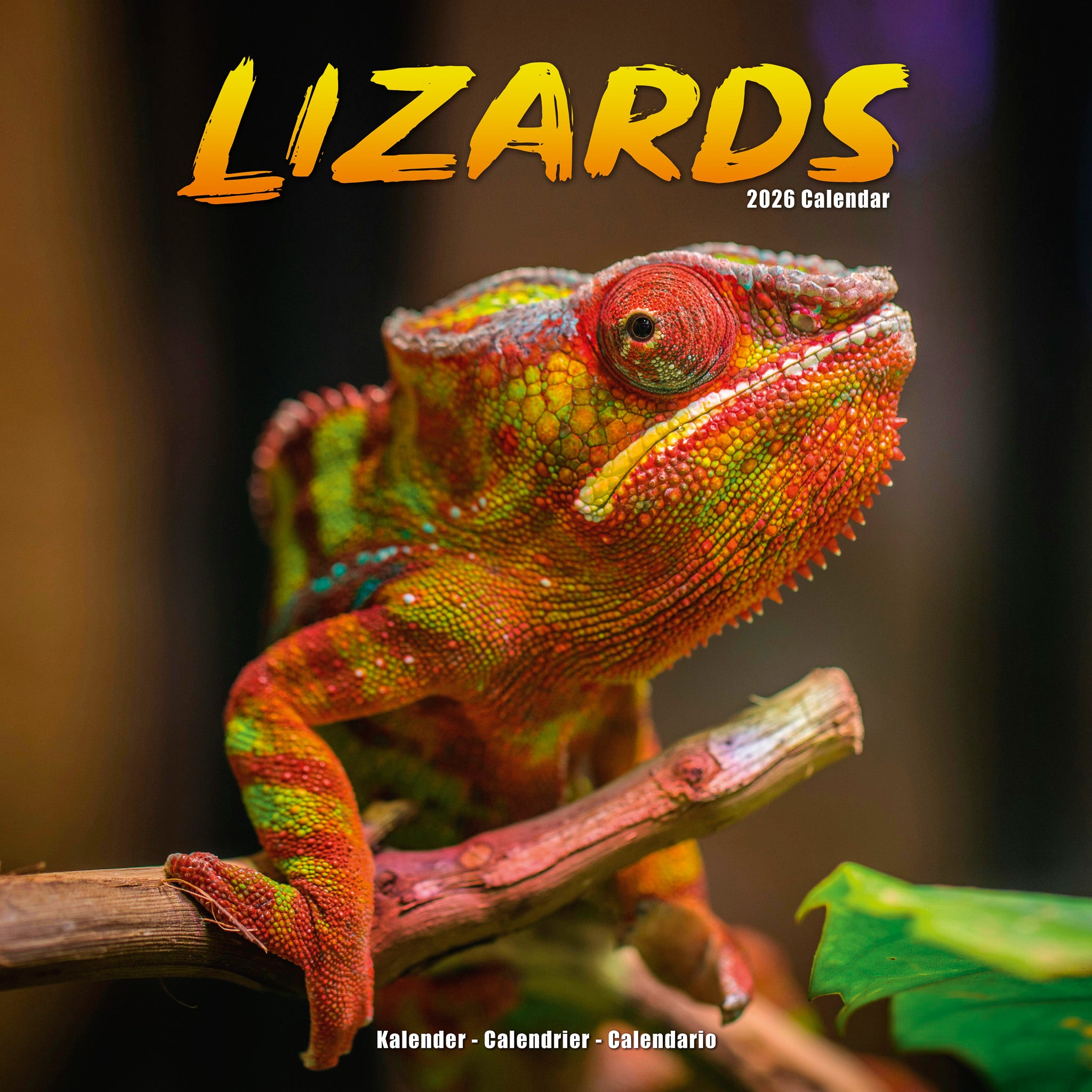 Lizards Kalender 2026