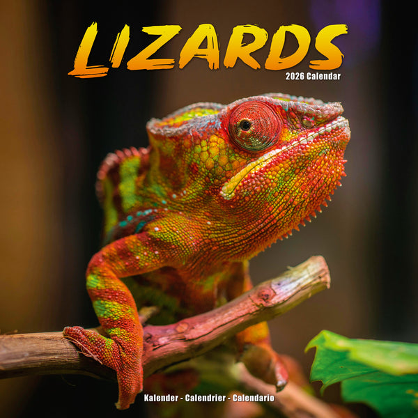Lizards Kalender 2026