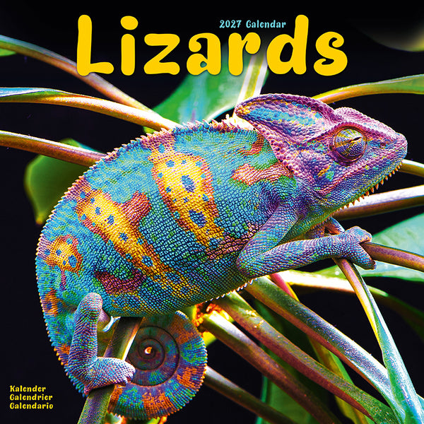 Lizards Kalender 2027