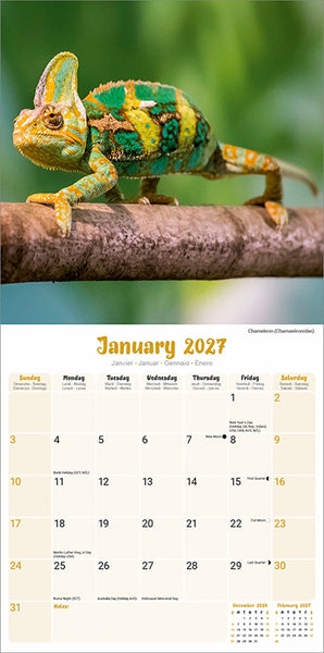 Lizards Kalender 2027