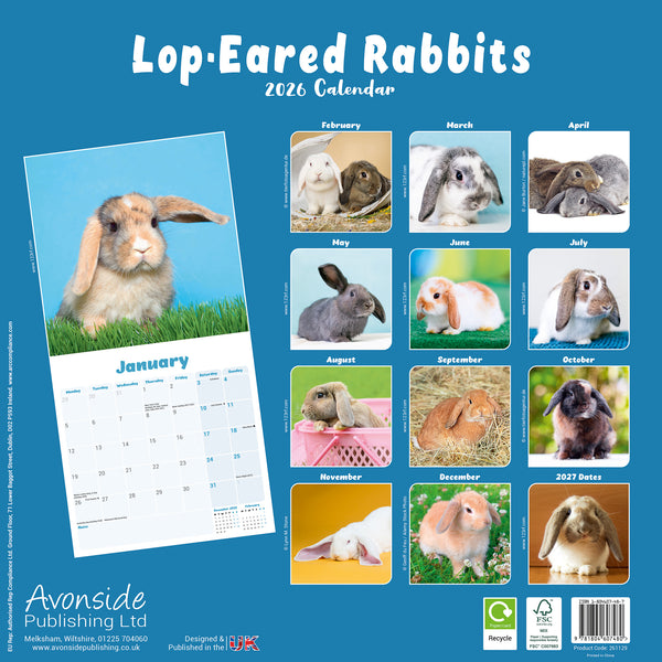Lop-Eared Rabbits Kalender 2026