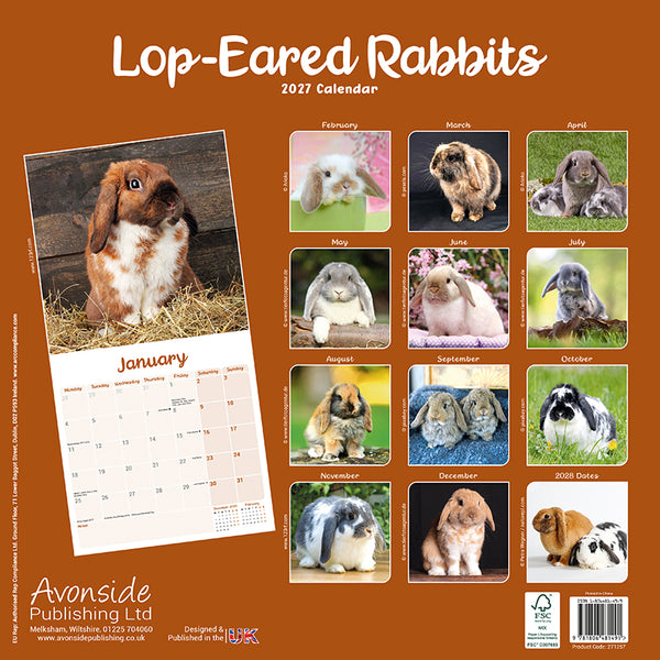 Lop-Eared Rabbits Kalender 2027