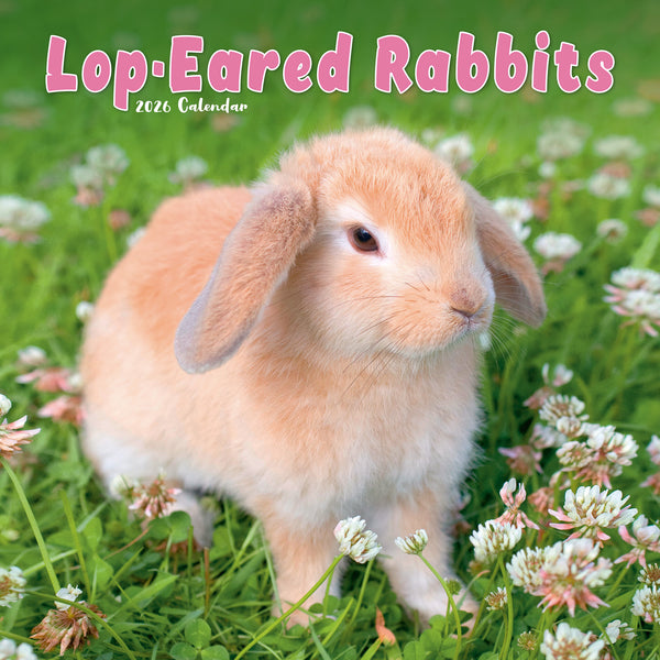 Lop-Eared Rabbits Kalender 2026