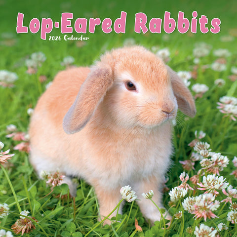 Lop-Eared Rabbits Kalender 2026