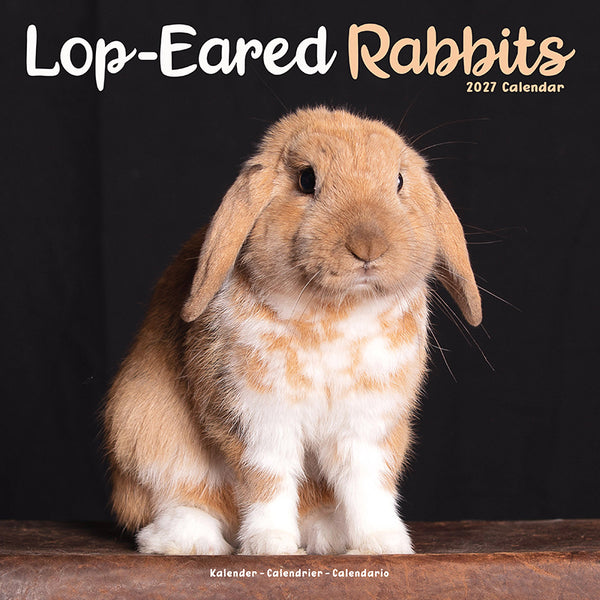 Lop-Eared Rabbits Kalender 2027