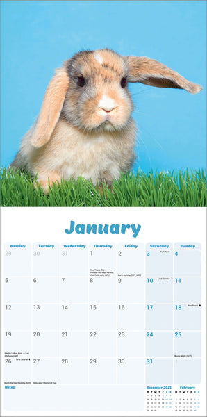 Lop-Eared Rabbits Kalender 2026