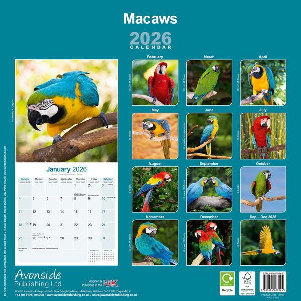 Macaws Kalender 2026