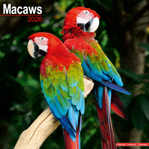 Macaws Kalender 2026