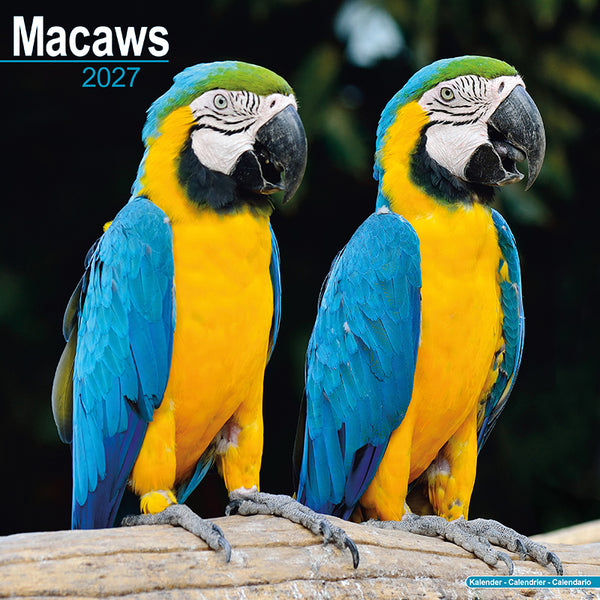 Macaws Kalender 2027