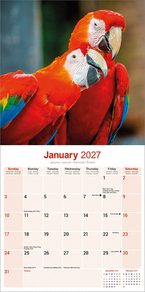 Macaws Kalender 2027