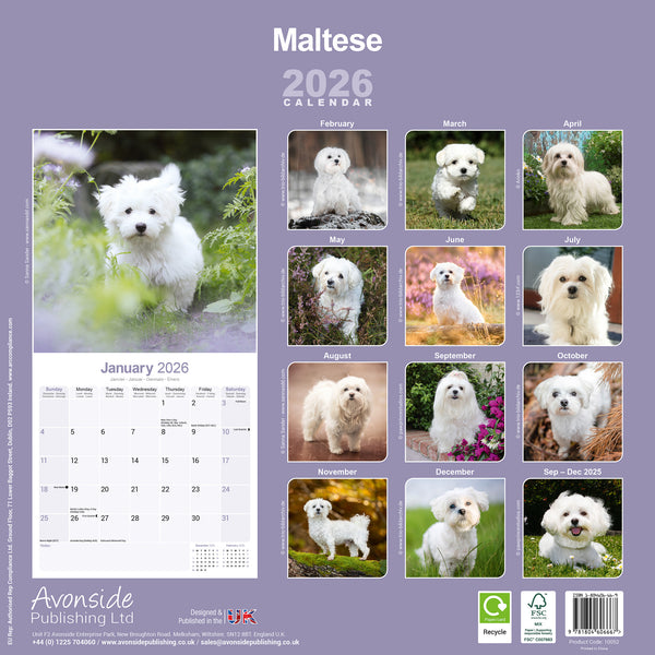 Maltese Kalender 2026