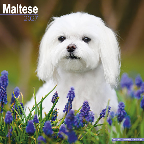 Maltese Kalender 2027