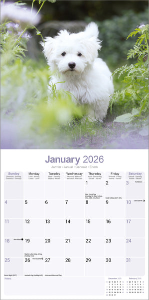 Maltese Kalender 2026