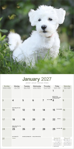 Maltese Kalender 2027